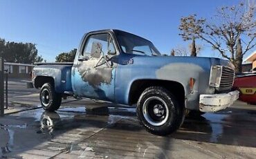 Chevrolet-C-10-1976-Blue-80467-12