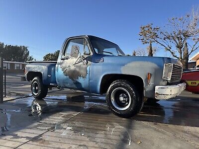 Chevrolet-C-10-1976-Blue-80467-12