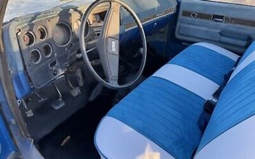 Chevrolet-C-10-1976-Blue-80467-14