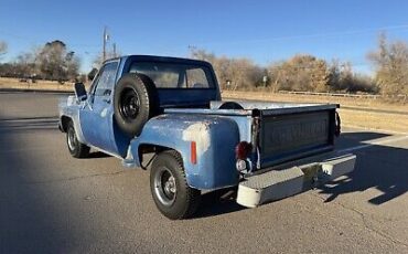 Chevrolet-C-10-1976-Blue-80467-2