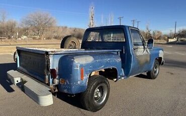 Chevrolet-C-10-1976-Blue-80467-4