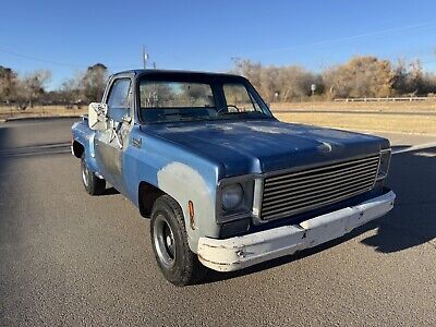 Chevrolet-C-10-1976-Blue-80467-7