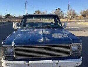 Chevrolet-C-10-1976-Blue-80467-8