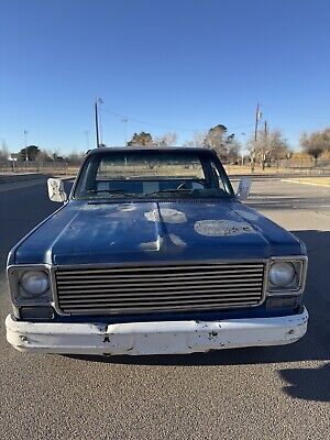 Chevrolet-C-10-1976-Blue-80467-8