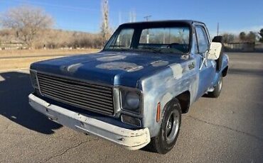 Chevrolet-C-10-1976-Blue-80467-9