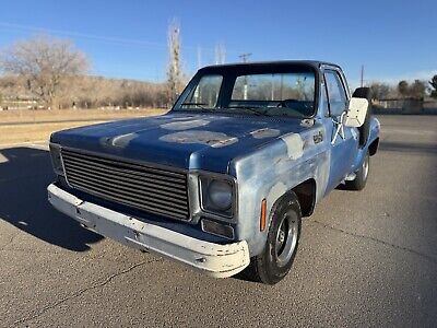 Chevrolet-C-10-1976-Blue-80467-9