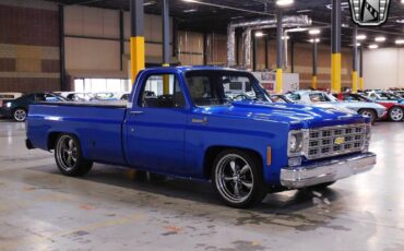 Chevrolet-C-10-1977-Blue-Gray-127101-5