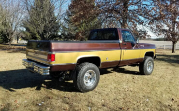 Chevrolet-C-10-1978-Brown-Brown-9495-1