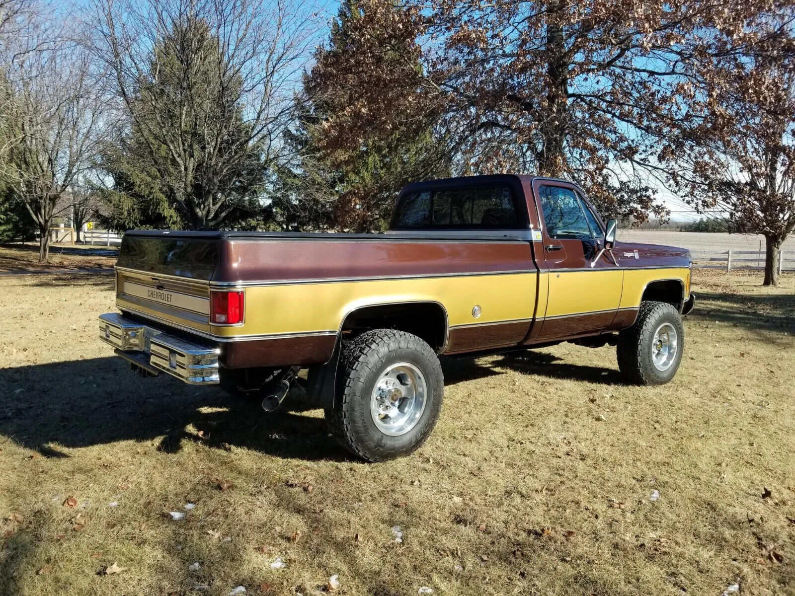 Chevrolet-C-10-1978-Brown-Brown-9495-1