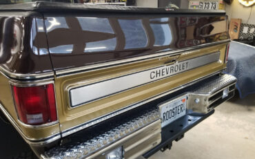 Chevrolet-C-10-1978-Brown-Brown-9495-10