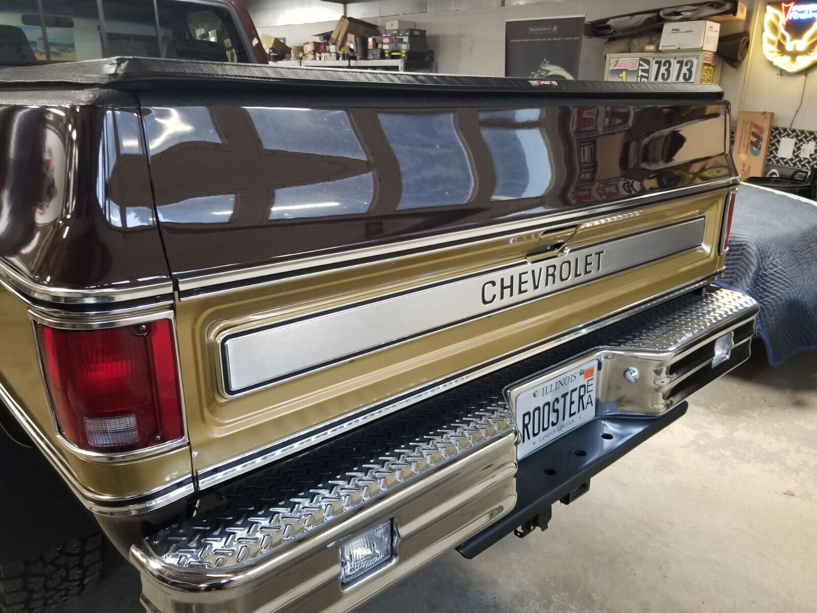 Chevrolet-C-10-1978-Brown-Brown-9495-10