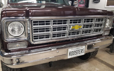 Chevrolet-C-10-1978-Brown-Brown-9495-11