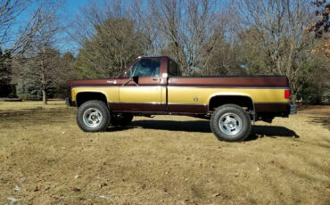 Chevrolet-C-10-1978-Brown-Brown-9495-2