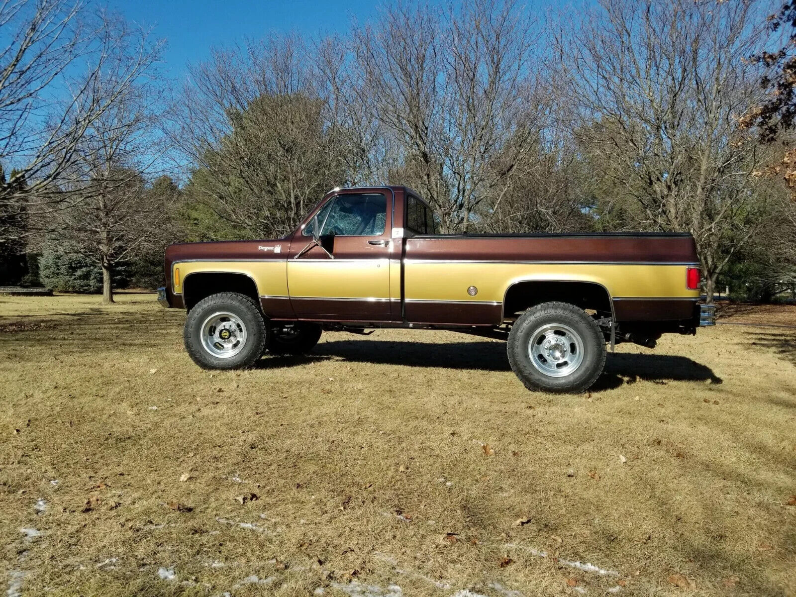 Chevrolet-C-10-1978-Brown-Brown-9495-2