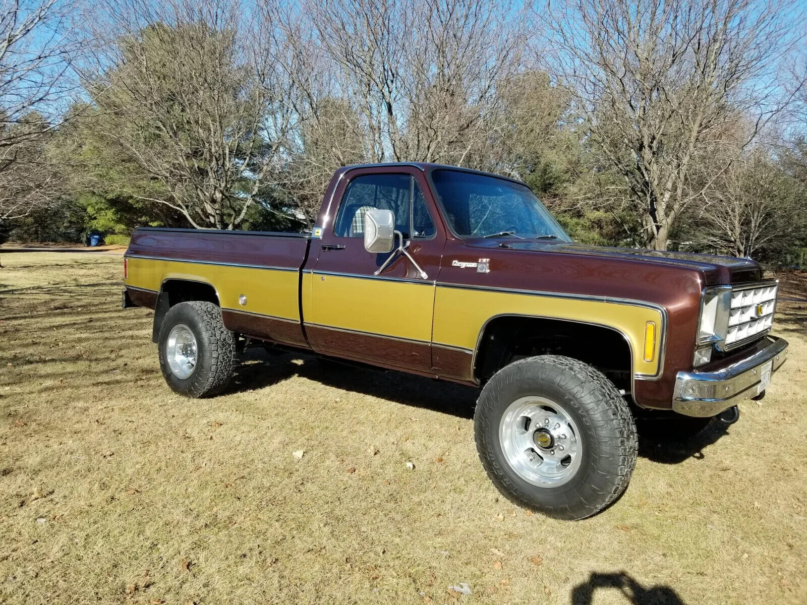 Chevrolet-C-10-1978-Brown-Brown-9495-3