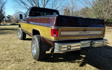 Chevrolet-C-10-1978-Brown-Brown-9495-4