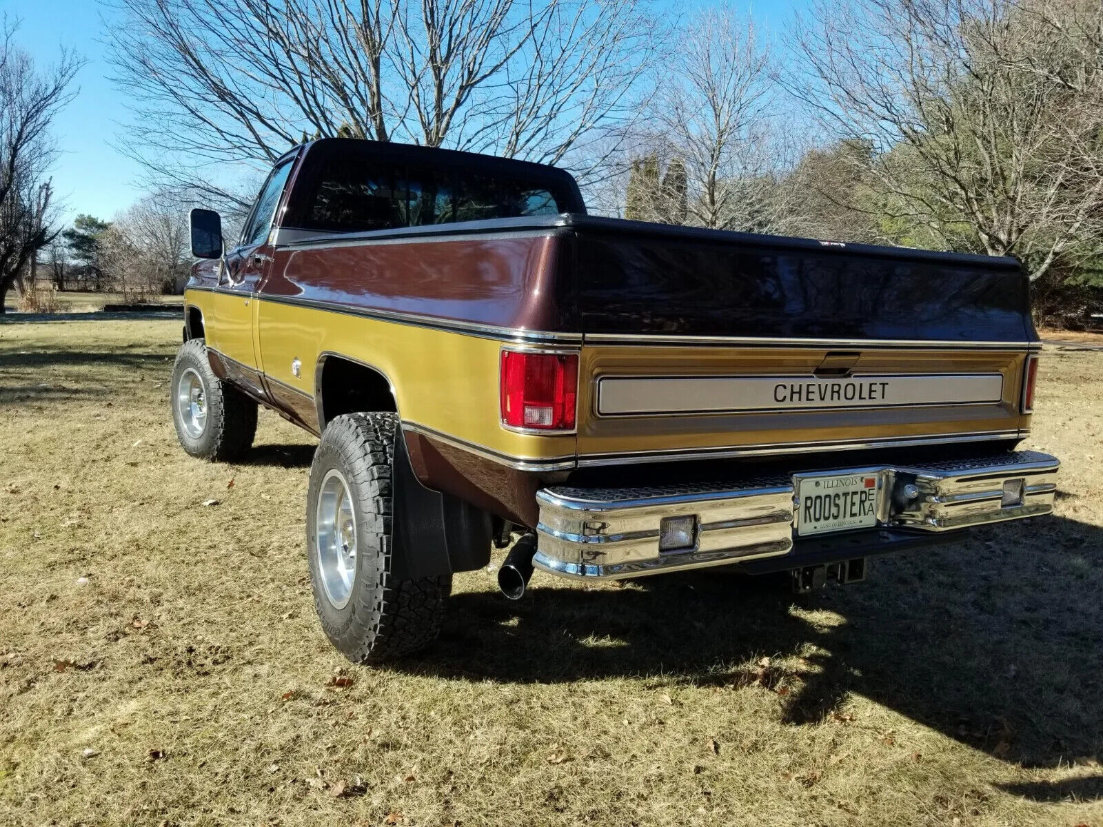 Chevrolet-C-10-1978-Brown-Brown-9495-4