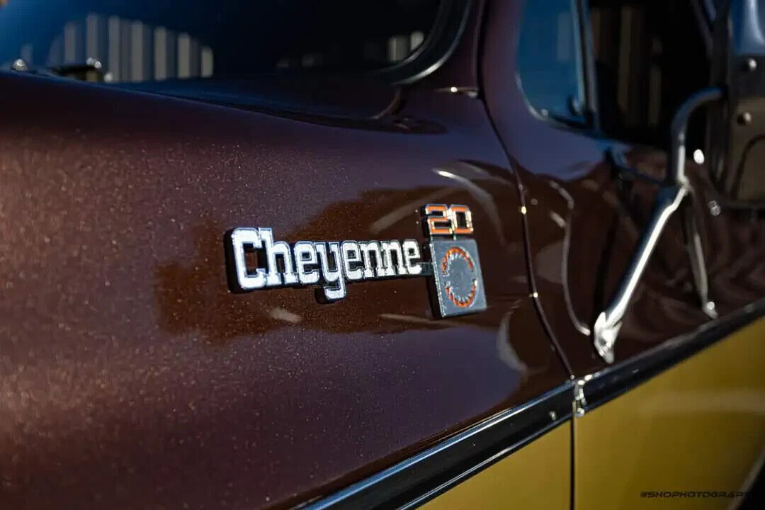 Chevrolet-C-10-1978-Brown-Brown-9495-5