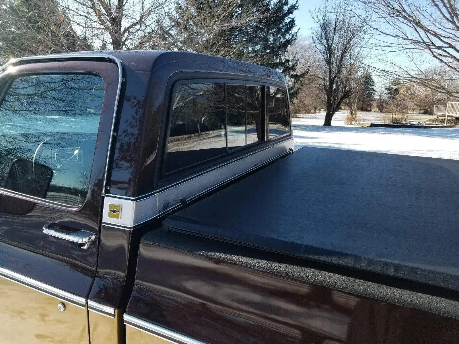 Chevrolet-C-10-1978-Brown-Brown-9495-7