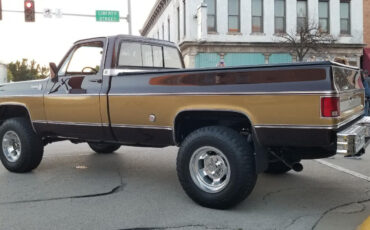 Chevrolet-C-10-1978-Brown-Brown-9495-9