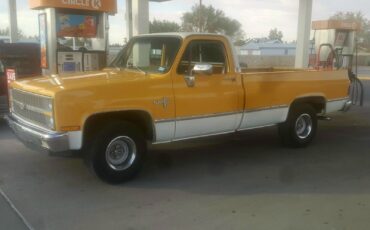 Chevrolet-C-10-1982-Yellow-Tan-134287-1