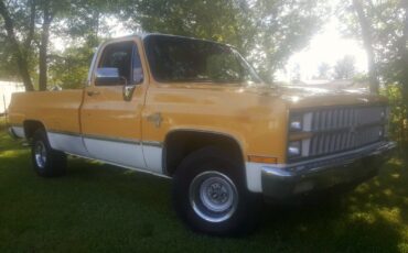 Chevrolet-C-10-1982-Yellow-Tan-134287-2