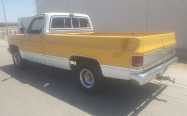 Chevrolet-C-10-1982-Yellow-Tan-134287-4