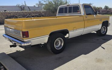 Chevrolet-C-10-1982-Yellow-Tan-134287-5