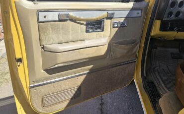 Chevrolet-C-10-1982-Yellow-Tan-134287-9