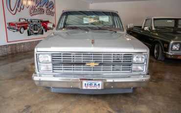 Chevrolet-C-10-1984-Silver-Burgundy-23442-27