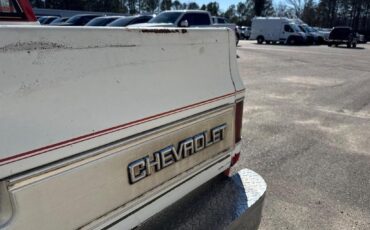 Chevrolet-C-10-1984-White-Red-0-27