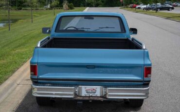 Chevrolet-C-10-1985-Blue-Tan-2486-4