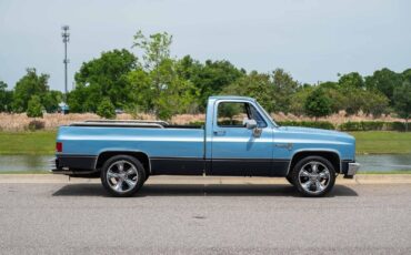 Chevrolet-C-10-1985-Blue-Tan-2486-6