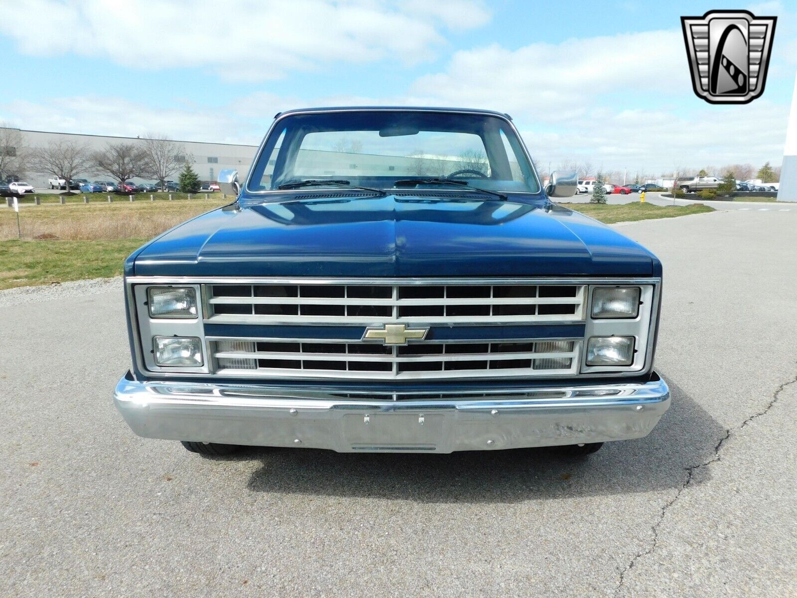 Chevrolet-C-10-1986-Blue-Blue-185075-12