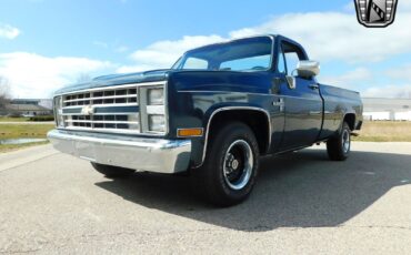 Chevrolet-C-10-1986-Blue-Blue-185075-13