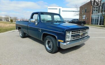 Chevrolet-C-10-1986-Blue-Blue-185075-22