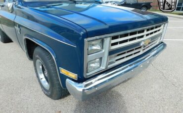 Chevrolet-C-10-1986-Blue-Blue-185075-8