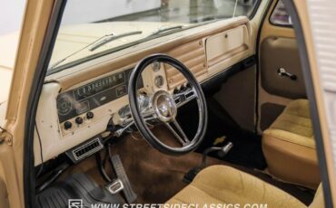 Chevrolet-C-10-Pickup-1966-Tan-Tan-29325-4