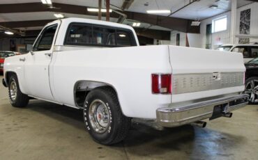 Chevrolet-C-10-Pickup-1973-White-Gray-15374-3