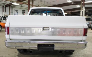 Chevrolet-C-10-Pickup-1973-White-Gray-15374-4