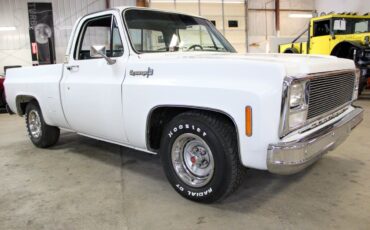 Chevrolet-C-10-Pickup-1973-White-Gray-15374-7