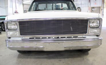 Chevrolet-C-10-Pickup-1973-White-Gray-15374-8