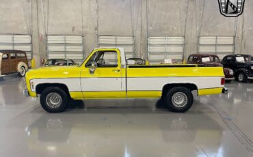 Chevrolet-C-10-Pickup-1975-White-Tan-15194-3