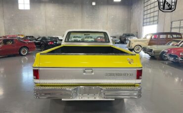 Chevrolet-C-10-Pickup-1975-White-Tan-15194-4