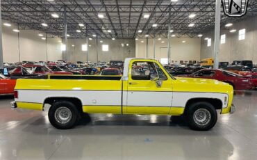 Chevrolet-C-10-Pickup-1975-White-Tan-15194-5