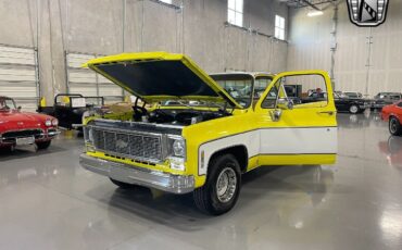 Chevrolet-C-10-Pickup-1975-White-Tan-15194-8