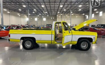 Chevrolet-C-10-Pickup-1975-White-Tan-15194-9