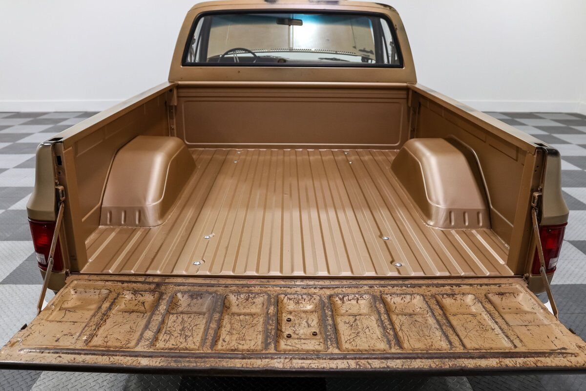 Chevrolet-C-10-Pickup-1980-Brown-Brown-97-18