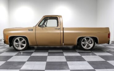 Chevrolet-C-10-Pickup-1980-Brown-Brown-97-3