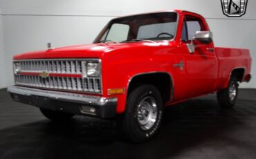 Chevrolet-C-10-Pickup-1981-Red-Red-31665-3